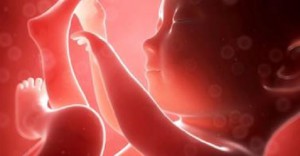 ultrasound4d31