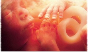 ultrasound4d55