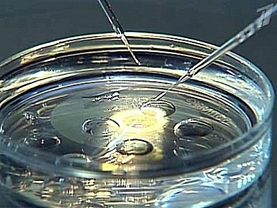 Вспомогательные репродуктивные технологии и демографическая безопасность Республики Беларусь