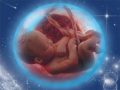 Книга о внутриутробном развитии человека выпущена Синодальным отделом по благотворительности