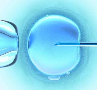 Закон о вспомогательных репродуктивных технологиях способствует трафику ЭКО-эмбрионов