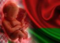 Кампания "ЗА запрет абортов в Беларуси". Подпишись!