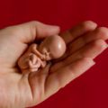Ответ на Открытое письмо Председателю Палаты представителей Национального собрания РБ Андрейченко В.П.