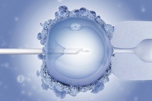 Тадеуш Василевски: «In vitro должно быть запрещено»