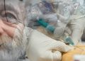 От содомитского греха – к содомитской морали: в Прибалтике решили умерщвлять бедняков 