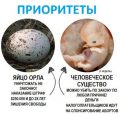 В Канаде можно делать аборт вплоть до рождения ребёнка, а активисты хотят «Хартию прав животных»