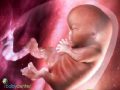 Взгляды репортера, выступающей за аборты, сильно пошатнулись, когда она увидела это