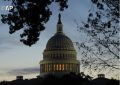 В США готовят марш в защиту жизни