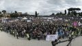 Итальянский сенат одобрил закон об однополых союзах