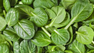 spinach-1501218_960_720