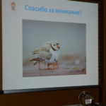 Представители просемейных организаций из разных регионов Беларуси выступили на конференции в МинДА