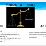 Материалы вебинара «Репродуктивное здоровье нации и нравственная культура медицинского работника»