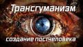 Ольга Четверикова. Они ведают, что творят: оцифровка человека