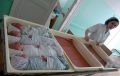В Беларуси падает рождаемость. Почему пособия больше не работают и можно ли это исправить