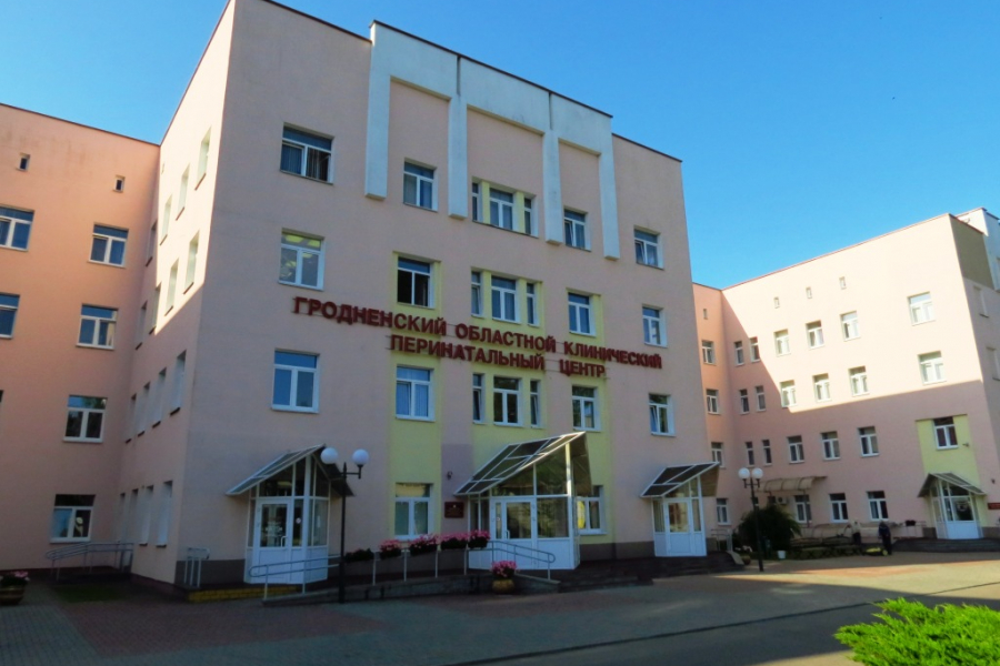 По итогам 9 месяцев 2019 года 26% кризисных беременностей в Гродненской области закончились родами