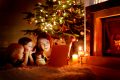 14 добрых  историй, которые стоит прочесть детям в Рождество
