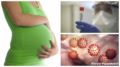 Влияние коронавируса на беременность и его последствия для новорождённых
