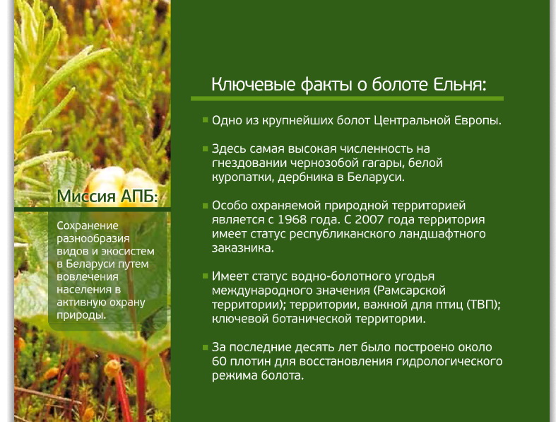 Влюблённые в Ельню, или тайный дауншифтинг психолога Ларисы Мартыновой