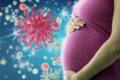 В ожидании вируса. Как лечиться от ковида беременным и можно ли передать его ребенку.