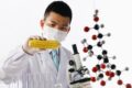 Китай официально запретил CRISPR младенцев, человеческих клонов и химер