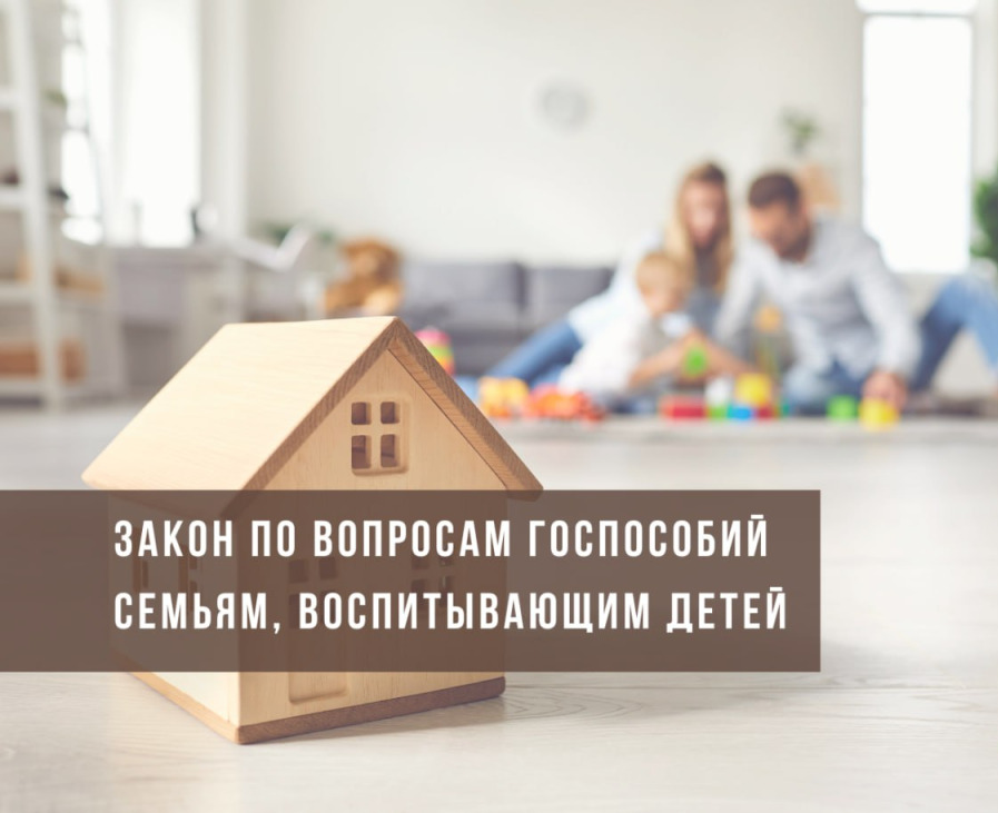 Подписан Закон по вопросам государственных пособий семьям, воспитывающим детей