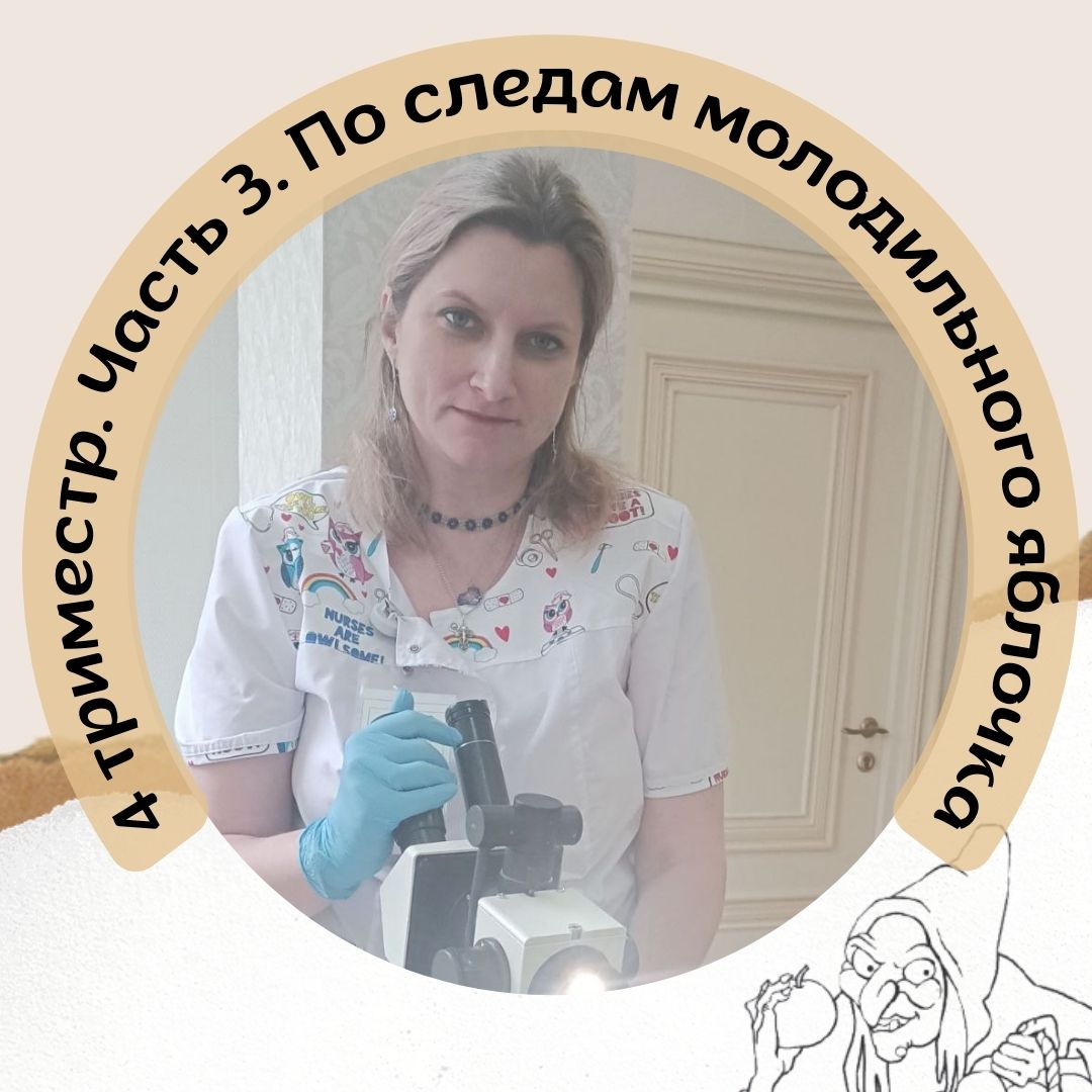 4 Триместр. Часть 3. По следам молодильного яблока.