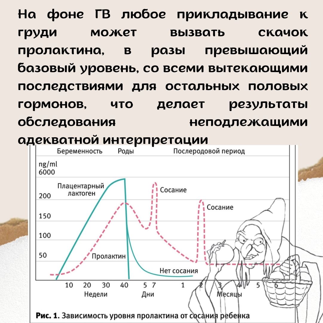 4 Триместр. Часть 3. По следам молодильного яблока.