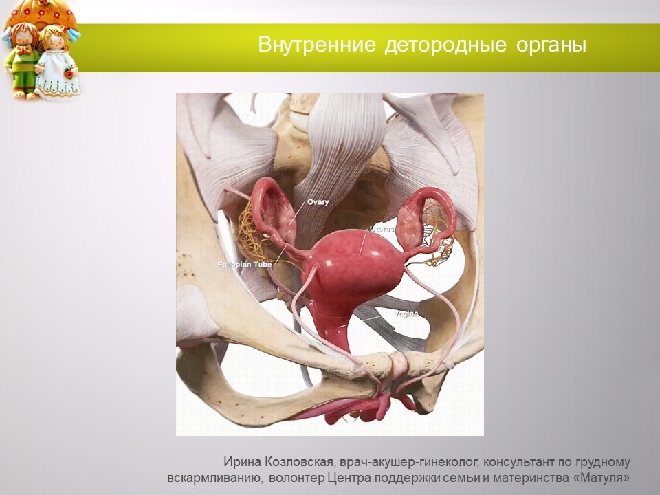 «Укрепление и сохранение детородного здоровья женщин и девочек: целомудрие как залог чадородия»