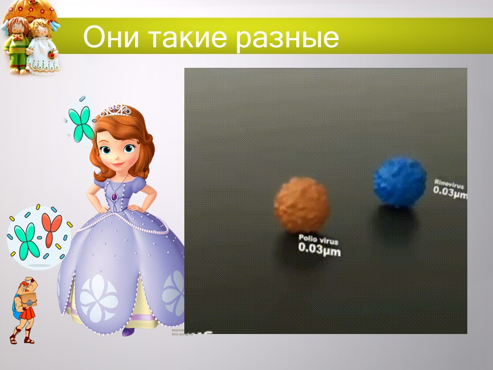 «Укрепление и сохранение детородного здоровья женщин и девочек: целомудрие как залог чадородия»