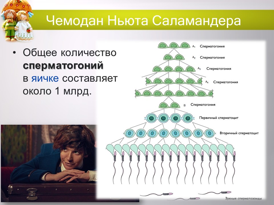 «Укрепление и сохранение детородного здоровья женщин и девочек: целомудрие как залог чадородия»