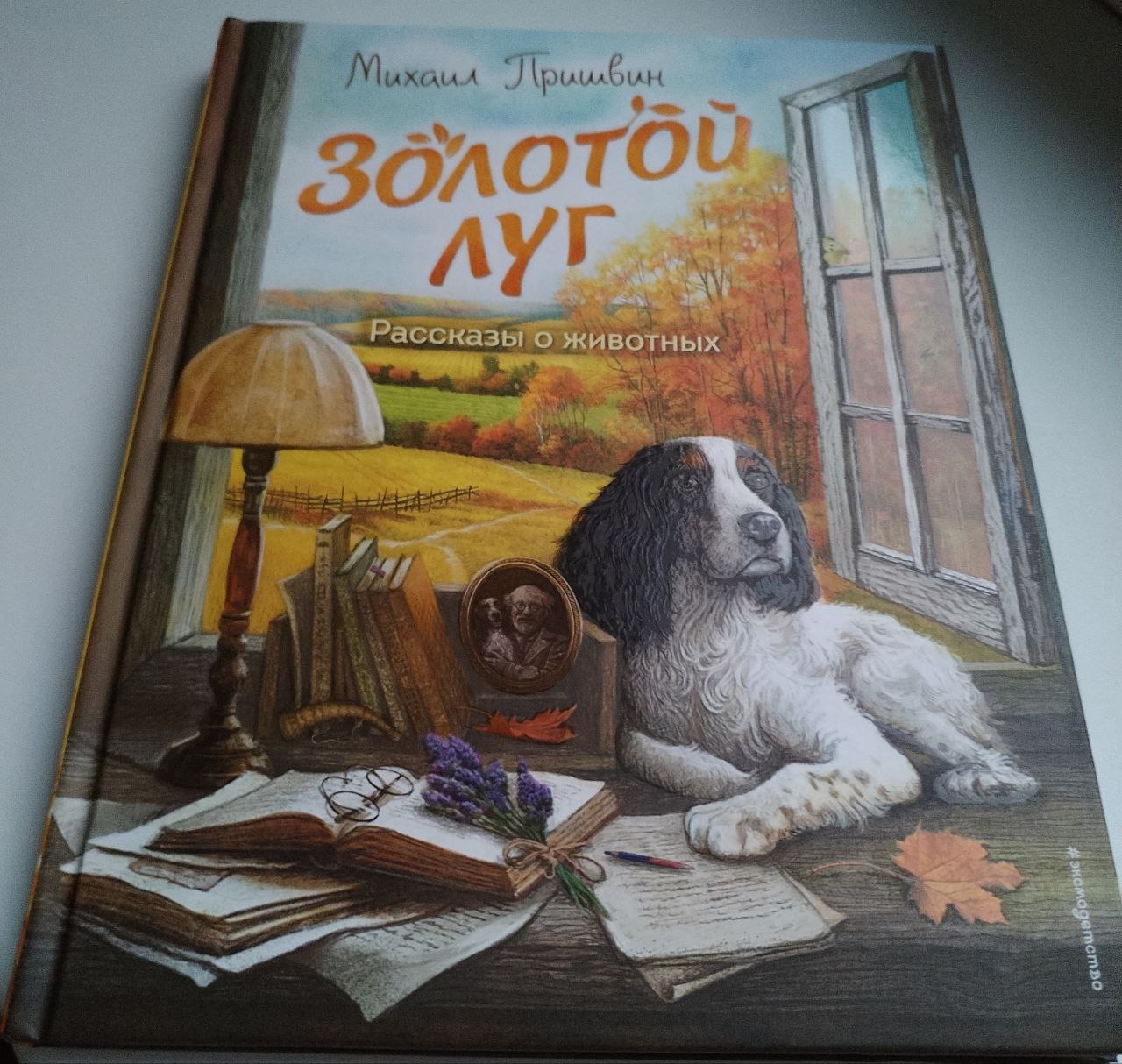 "ДАЛОНЬКА" : ФЕСТЫВАЛЬ ПАДВОДЗІЦЬ ВЫНІКІ.