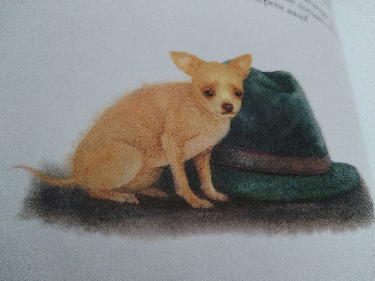 "ДАЛОНЬКА" : ФЕСТЫВАЛЬ ПАДВОДЗІЦЬ ВЫНІКІ.