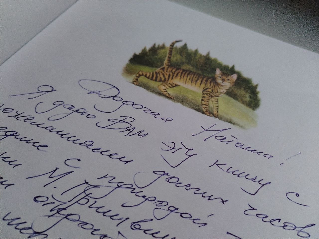 "ДАЛОНЬКА" : ФЕСТЫВАЛЬ ПАДВОДЗІЦЬ ВЫНІКІ.