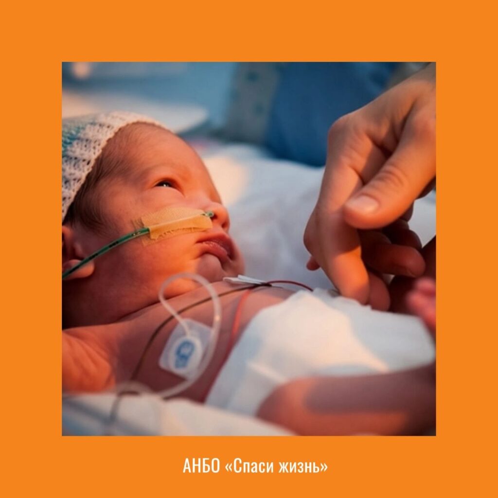 Отдаленные акушерские и перинатальные последствия искусственного прерывания беременности. Взгляд 2025-2026.