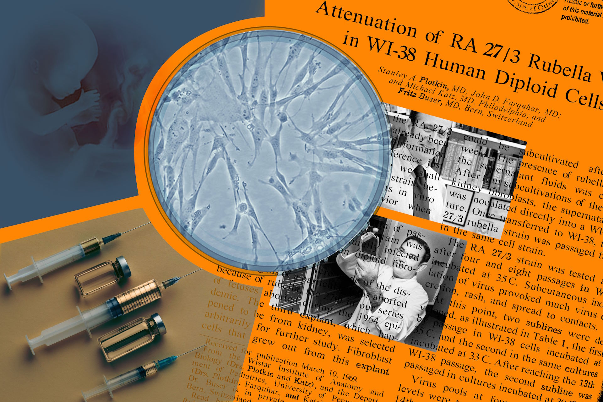 Добыча абортивного материала.